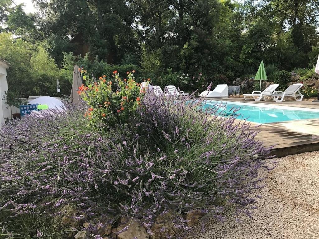 Villa Oha Close Cannes,Nice, Valbonne , Opio Рокфор-ле-Пен Екстер'єр фото