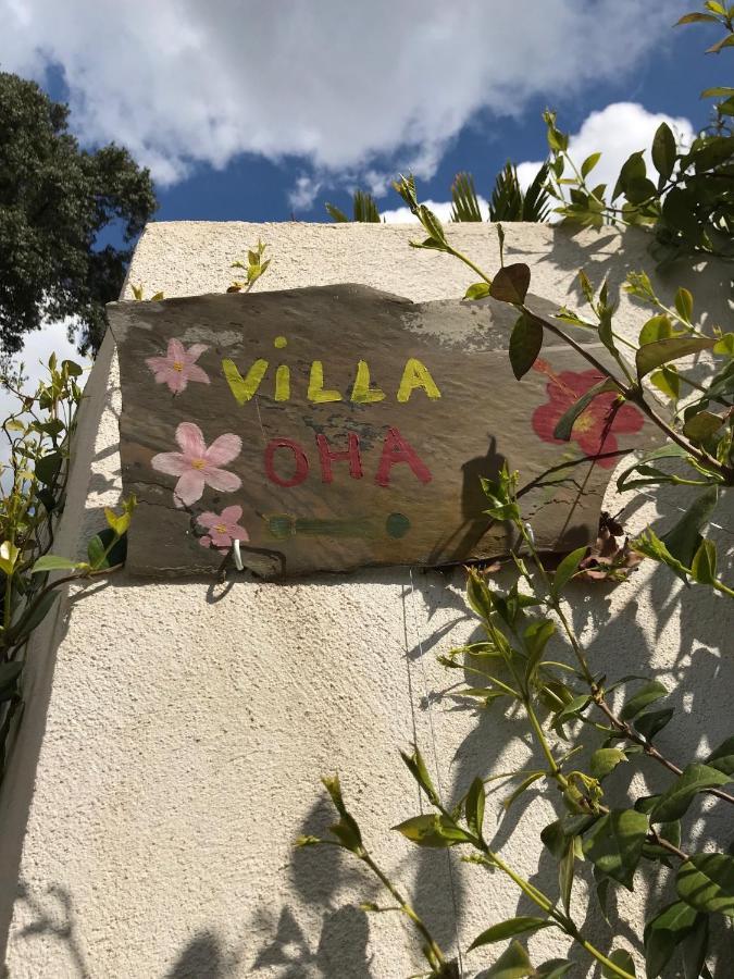 Villa Oha Close Cannes,Nice, Valbonne , Opio Рокфор-ле-Пен Екстер'єр фото